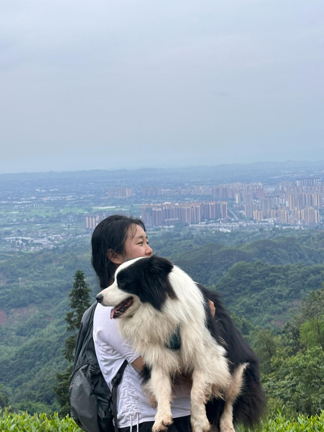 月儿光__