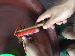 潜江油闷大虾的做法 步骤1