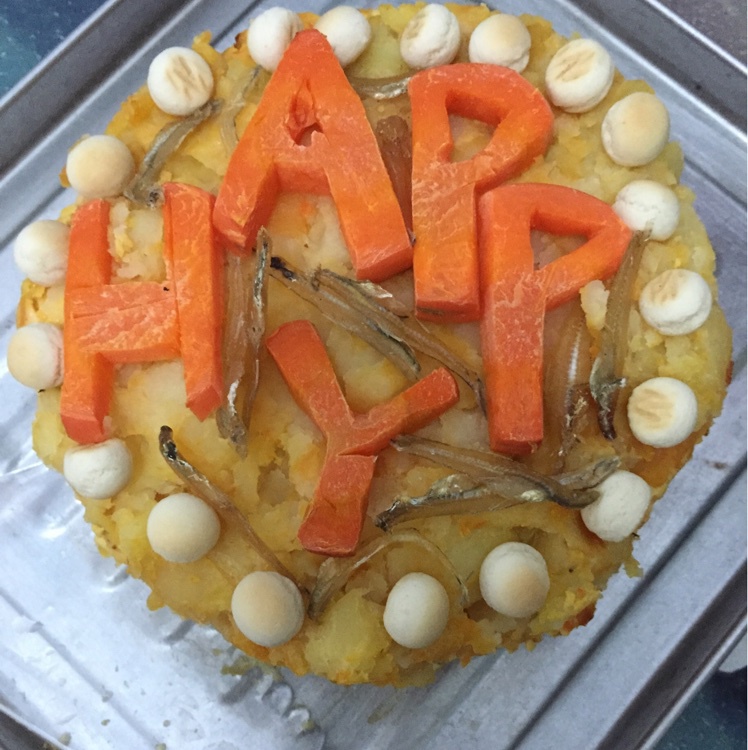 狗狗生日蛋糕（纯天然无色素无面粉）
