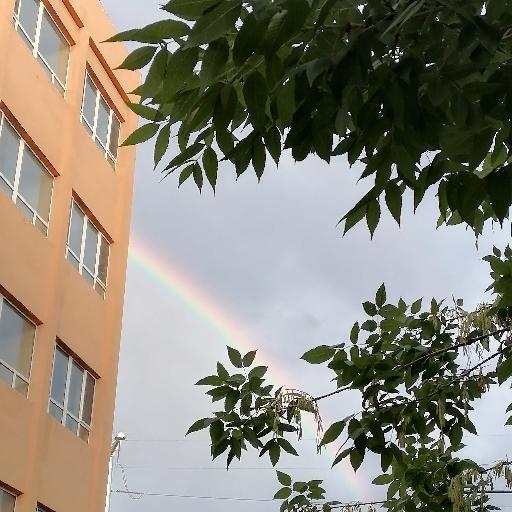 椒盐蛋黄是布丁