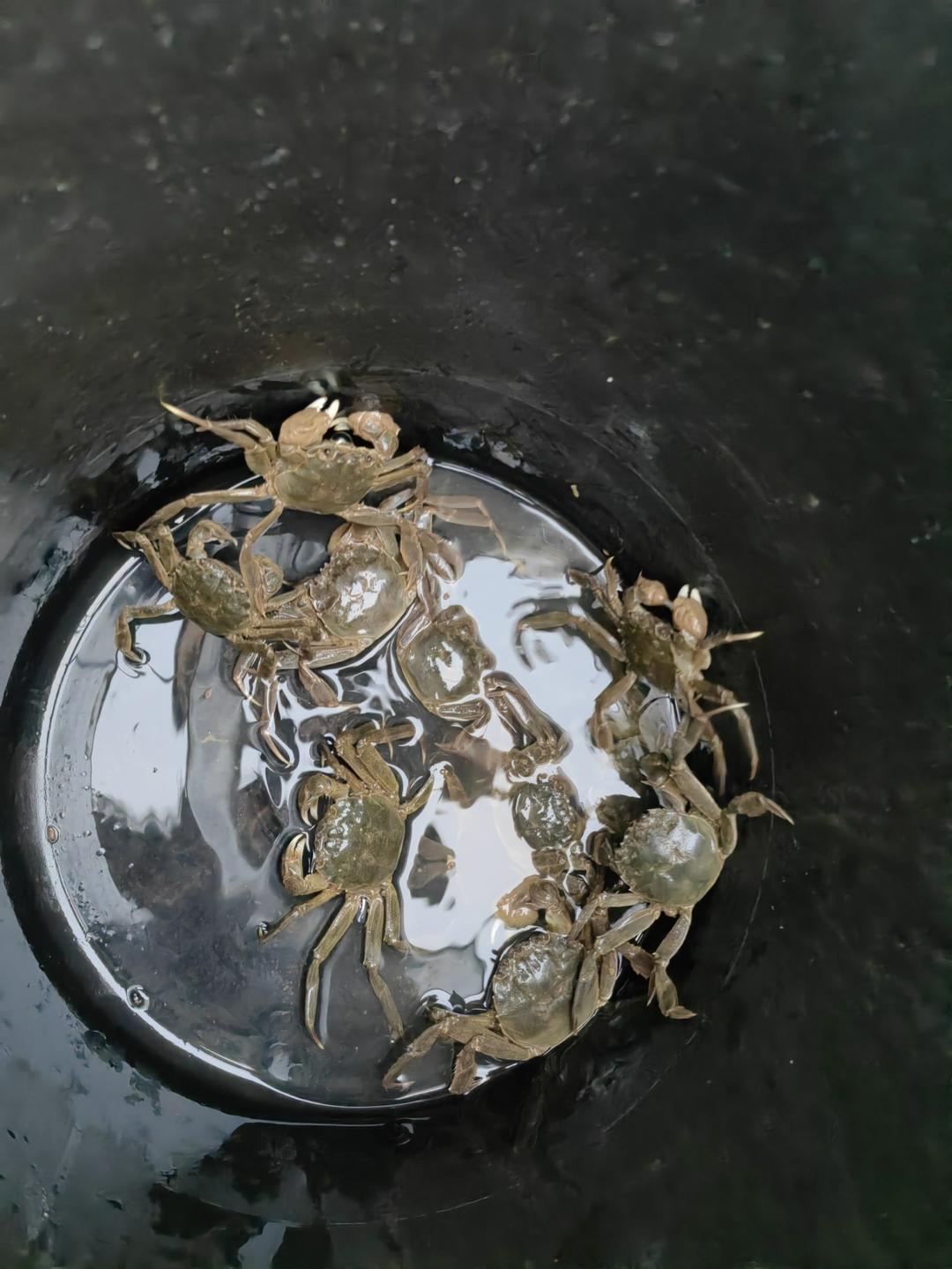 我的
