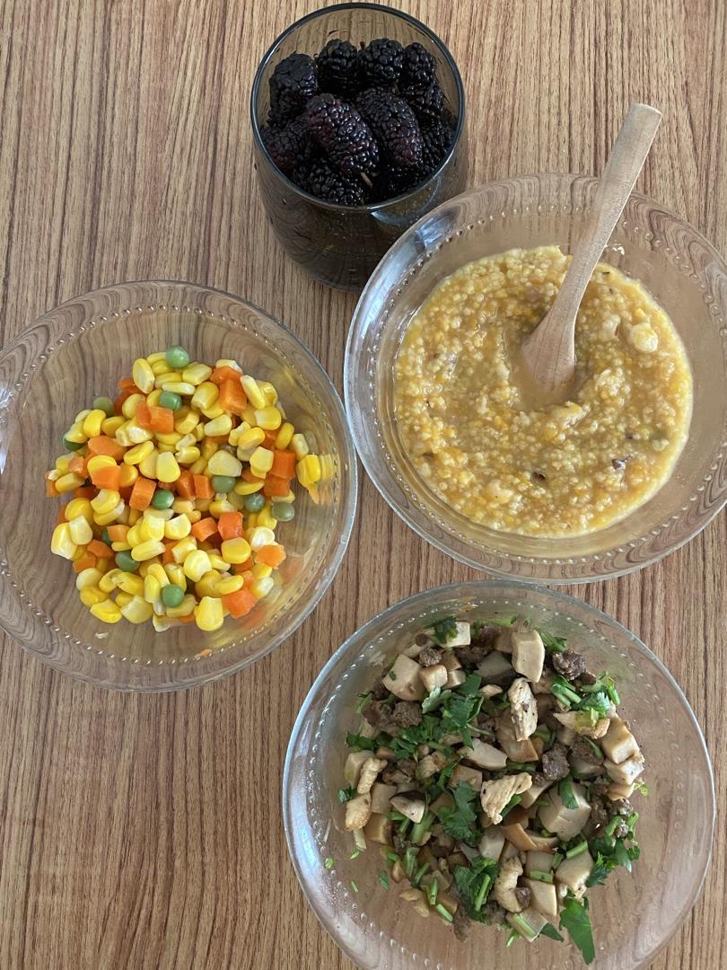 不规范Intermittent Fasting记录