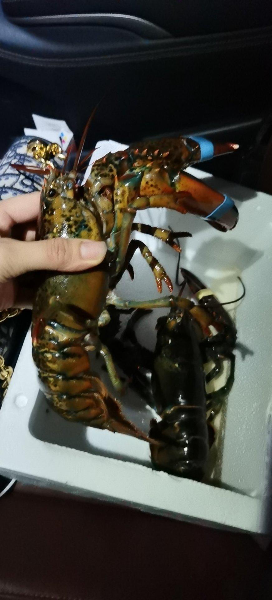 奶油芝士蒜蓉焗龙虾