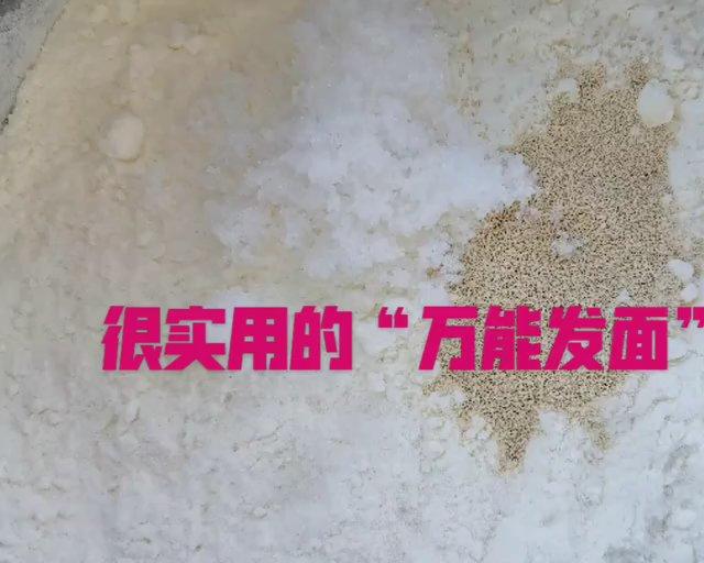万能的发面👍100%成功😊的做法