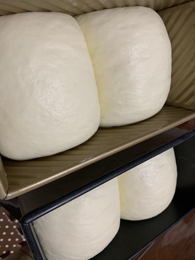 牛奶吐司🍞