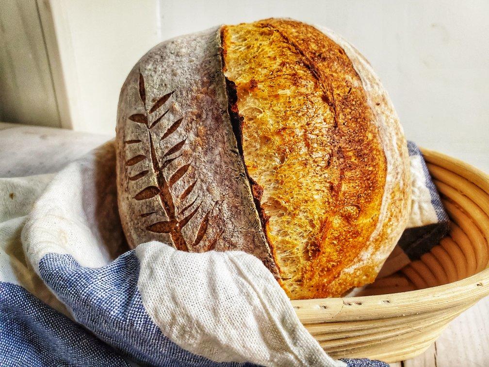 【硬欧笔记】GirlMeetsBread「Sourdough Notebook」