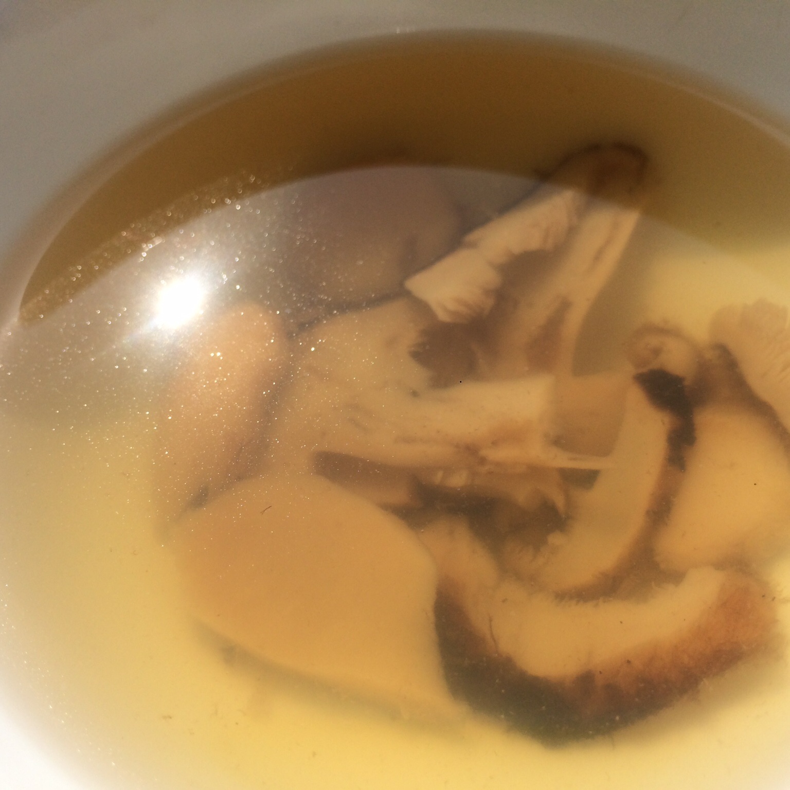 水松茸