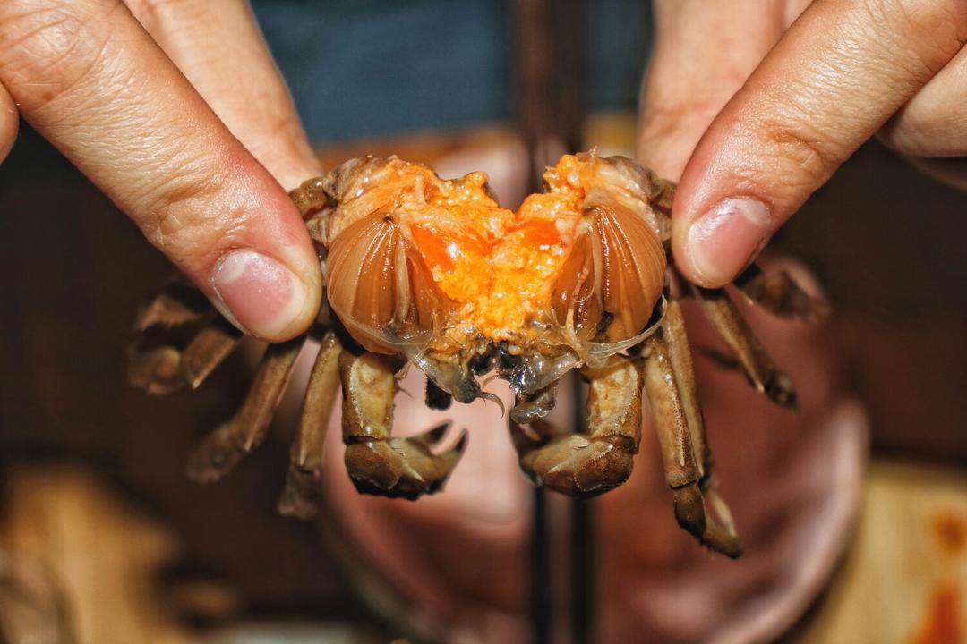 上海醉蟹