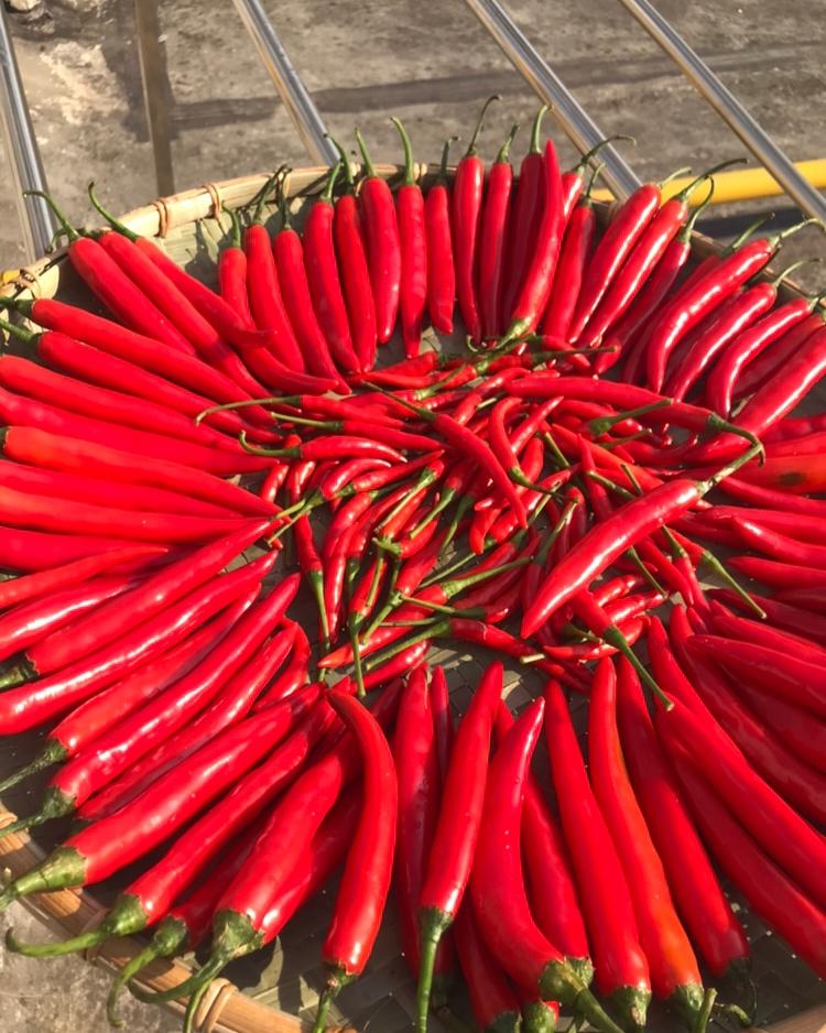 每年必做的剁椒
