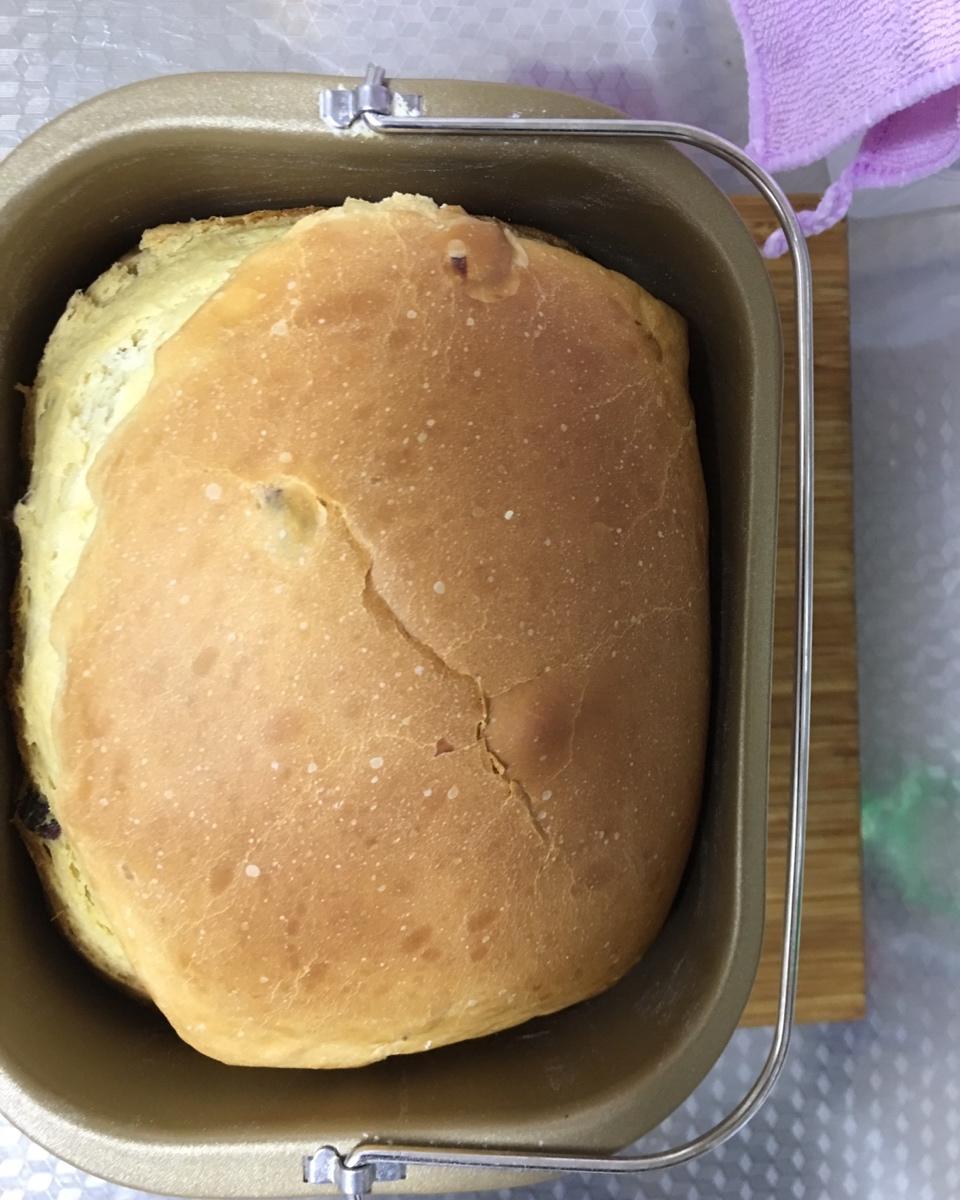 酸奶葡萄干面包机面包
