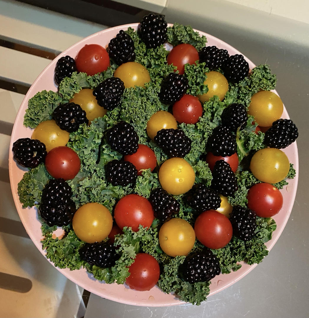 羽衣甘蓝色拉 kale salad