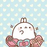 爱吃肉的兔子姑娘