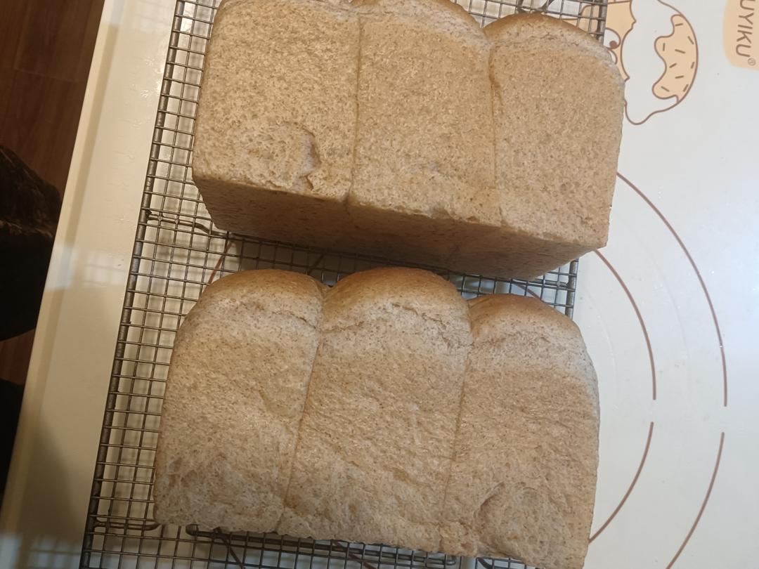 试过无数全麦吐司，还是这款40%全麦生吐司最好吃！