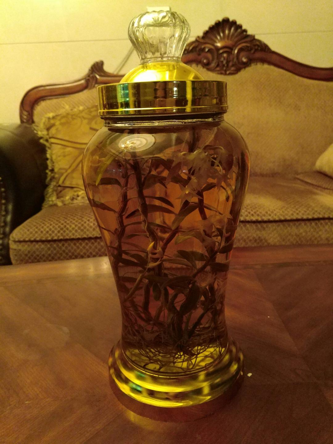 铁皮石斛酒的做法