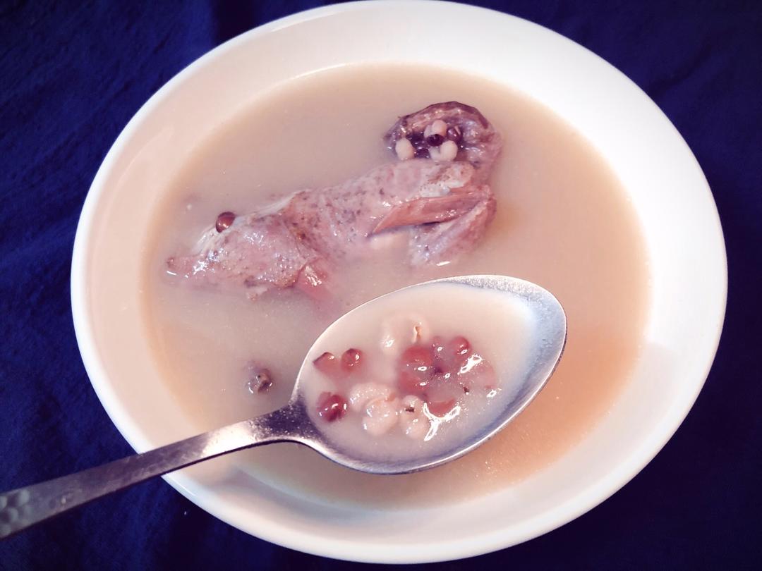 赤小豆薏米鹌鹑汤