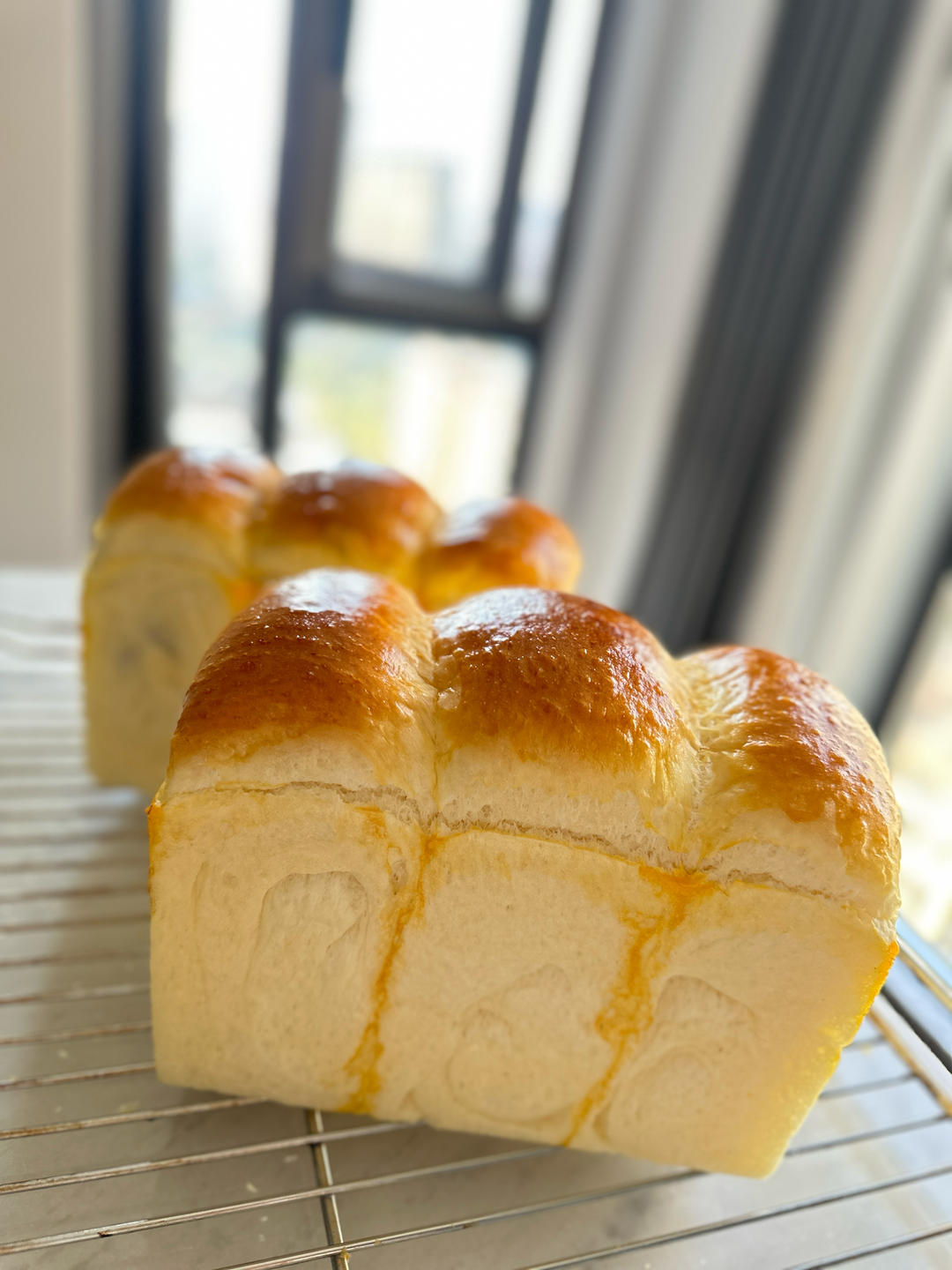 炼乳鲜奶提子吐司｜奶香加倍柔软加倍