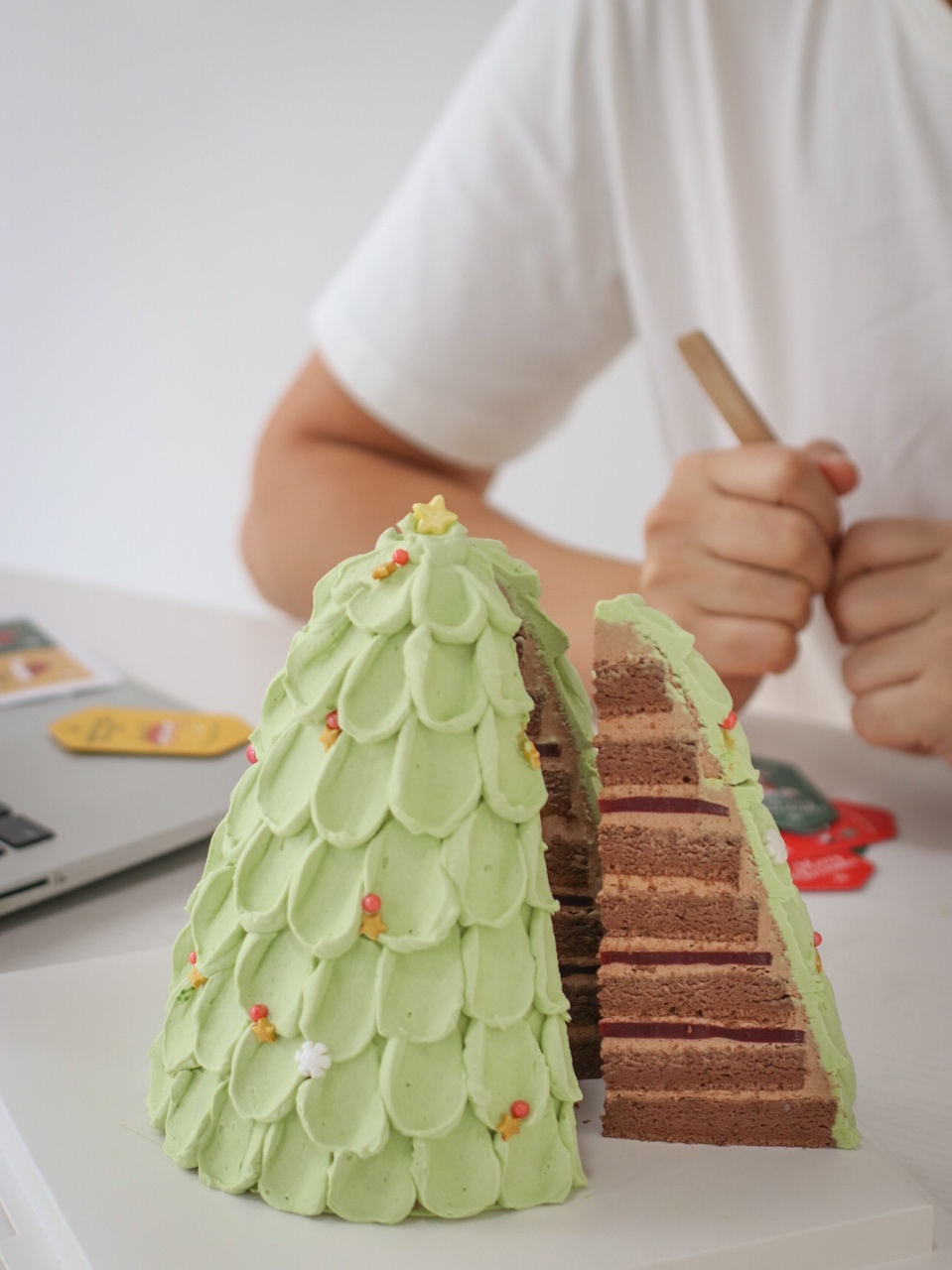 开心果巧克力圣诞树蛋糕