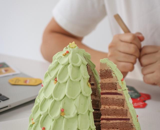 开心果巧克力圣诞树蛋糕