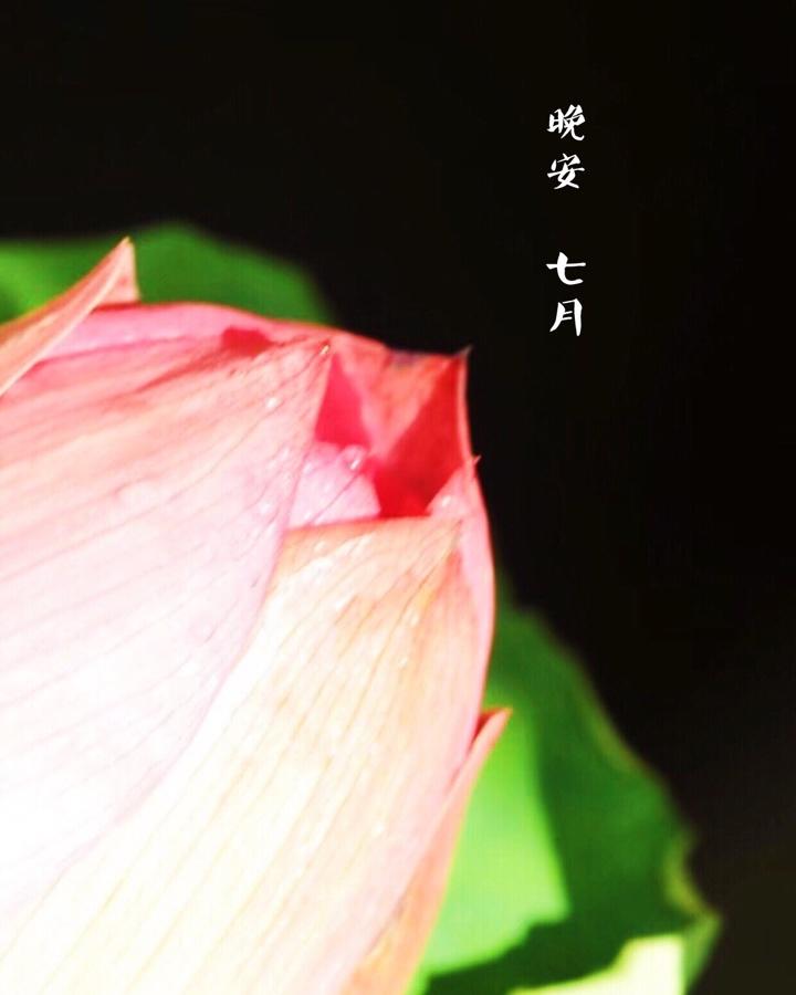 时光与你