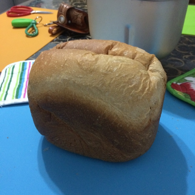 ACA面包机版葡萄干甜面包