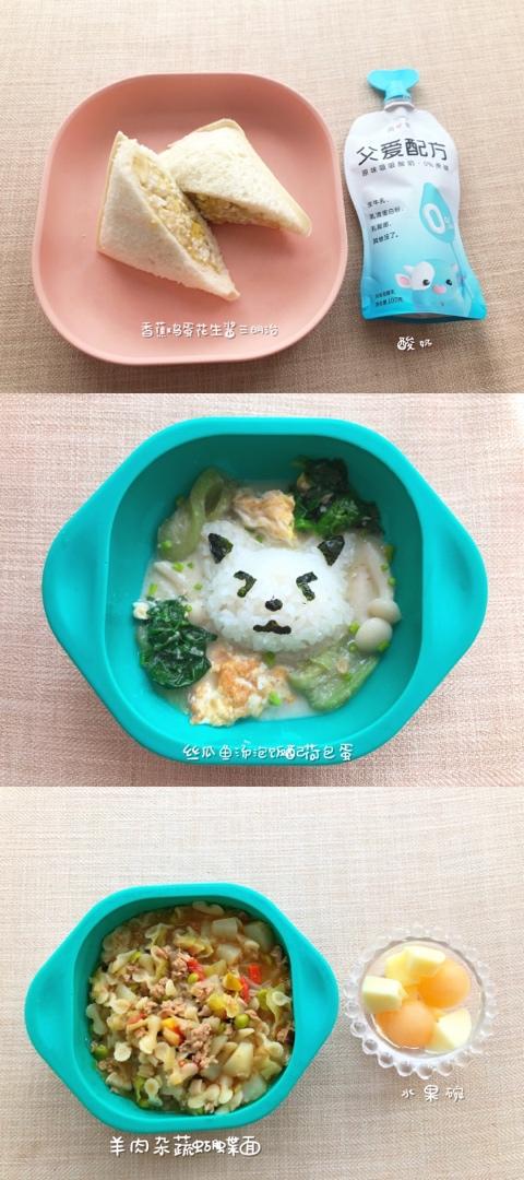 一岁宝宝辅食｜三餐记录｜16个月龄