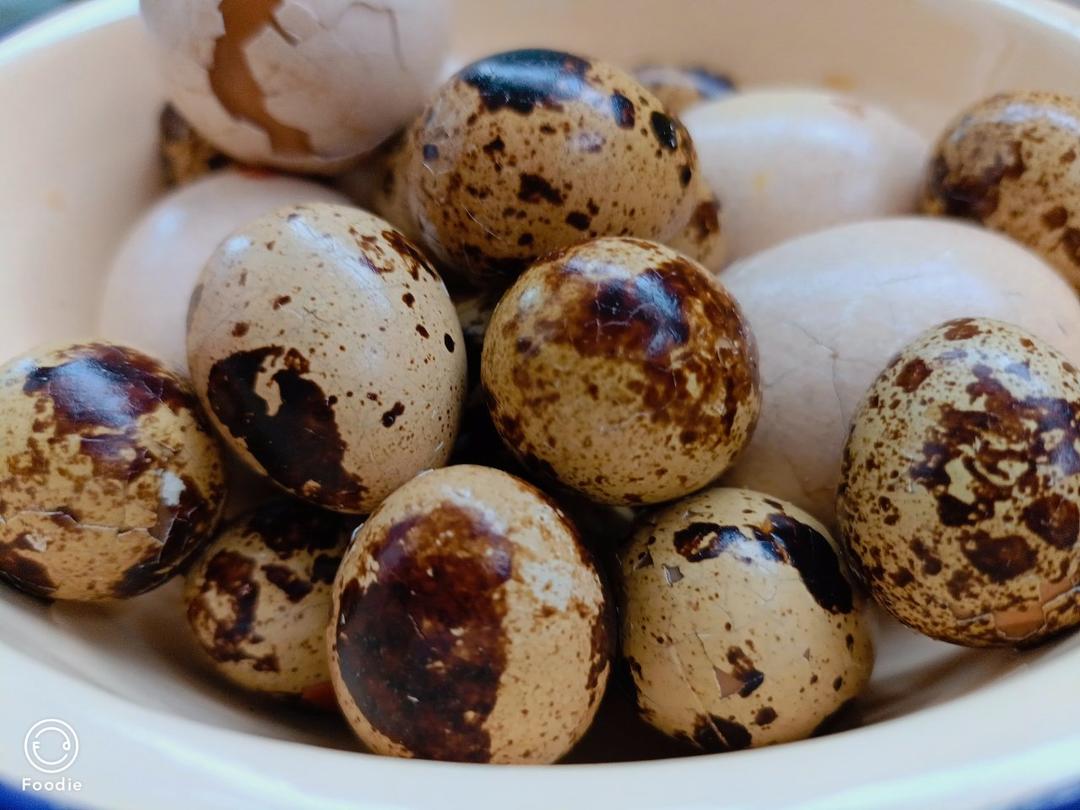 卤五香鹌鹑蛋（超简单版）