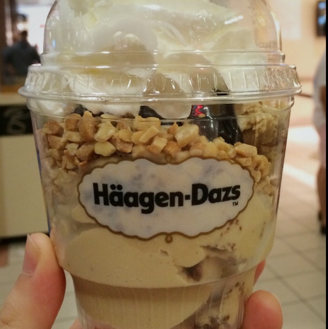 自制哈根达斯风味的冰淇淋