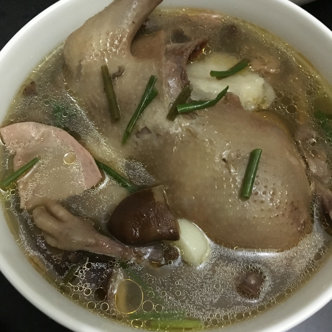 炖鸽子汤