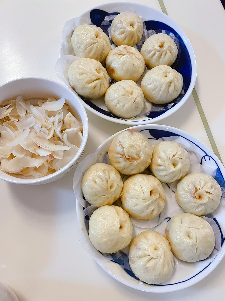 软软软软软面包子（老面包子！波兰种包子！）