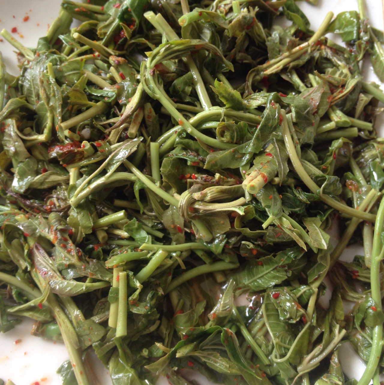 杨~~-1做的腌香椿