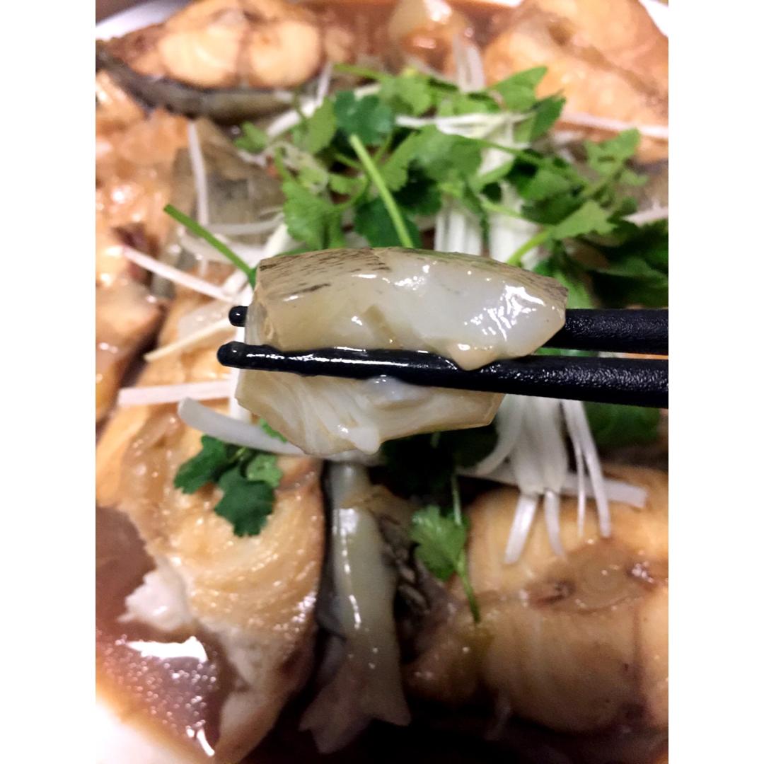 海参斑鱼