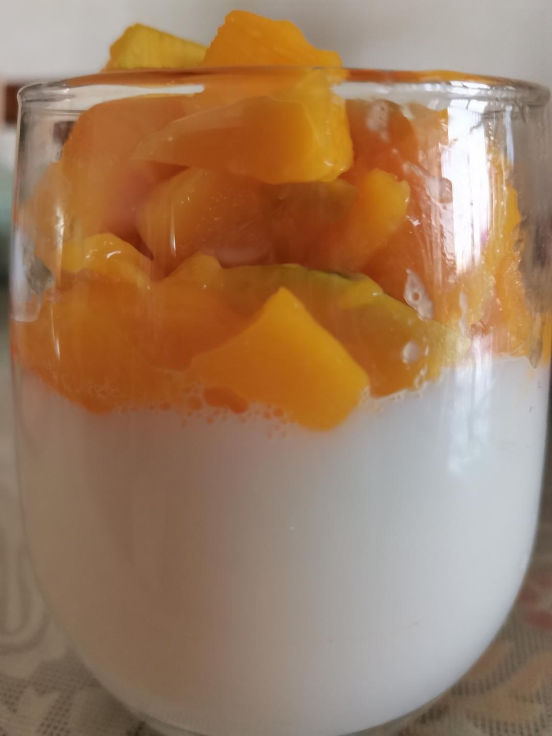 芒果布丁