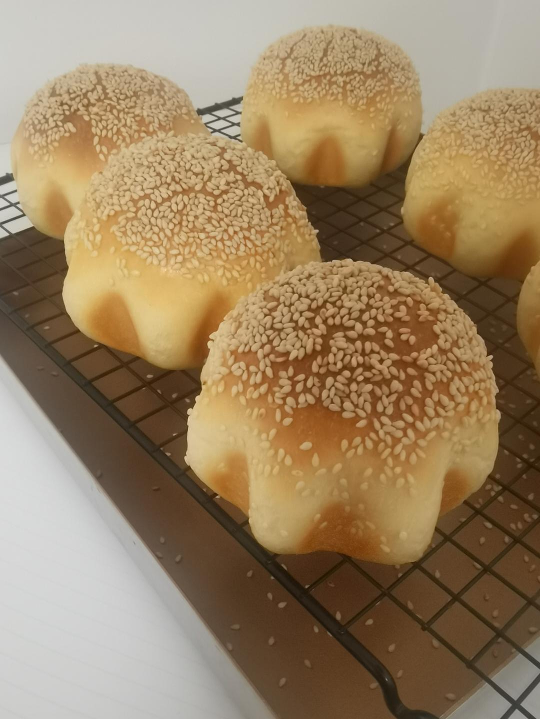 超~级松软的烫种汉堡胚