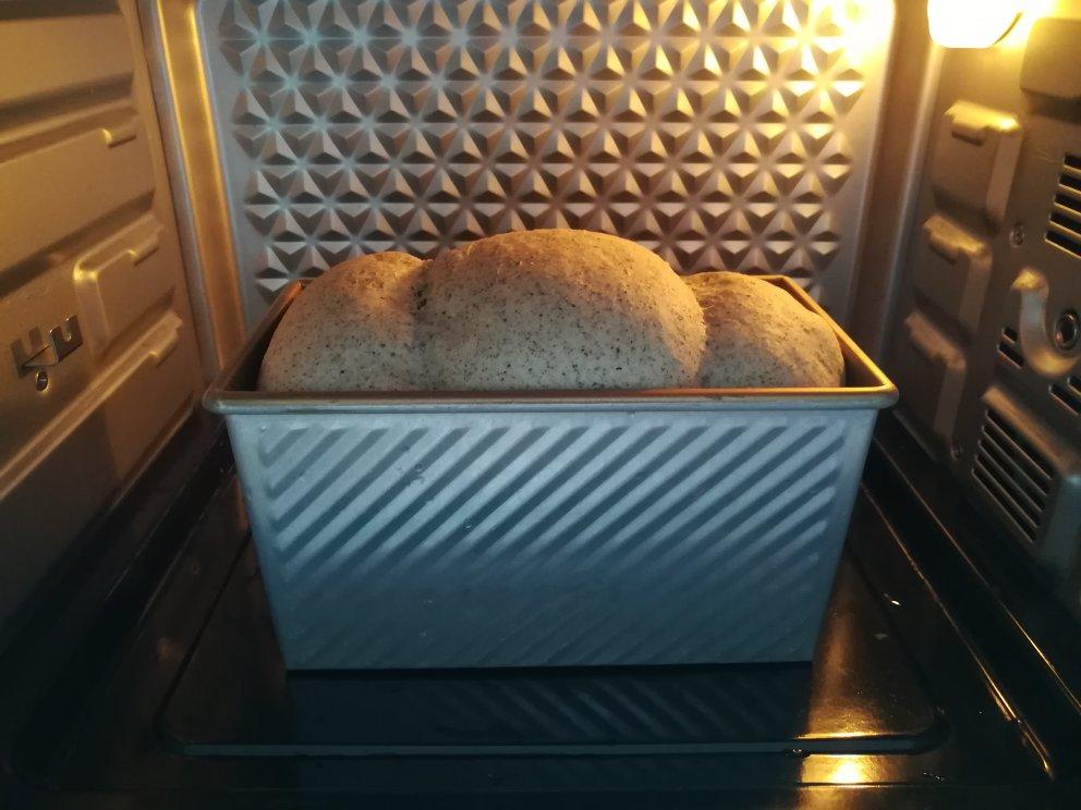 夺命软吐司(๑´ڡ`๑)超软拉丝极速方便的一次发酵吐司