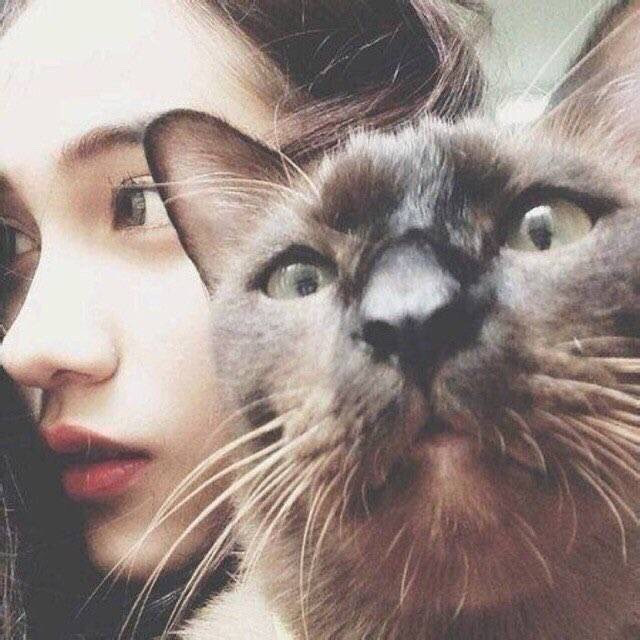 是欢喜呀_