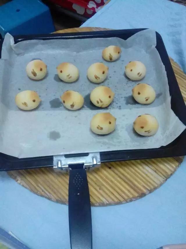 小鸡和果子🐣
