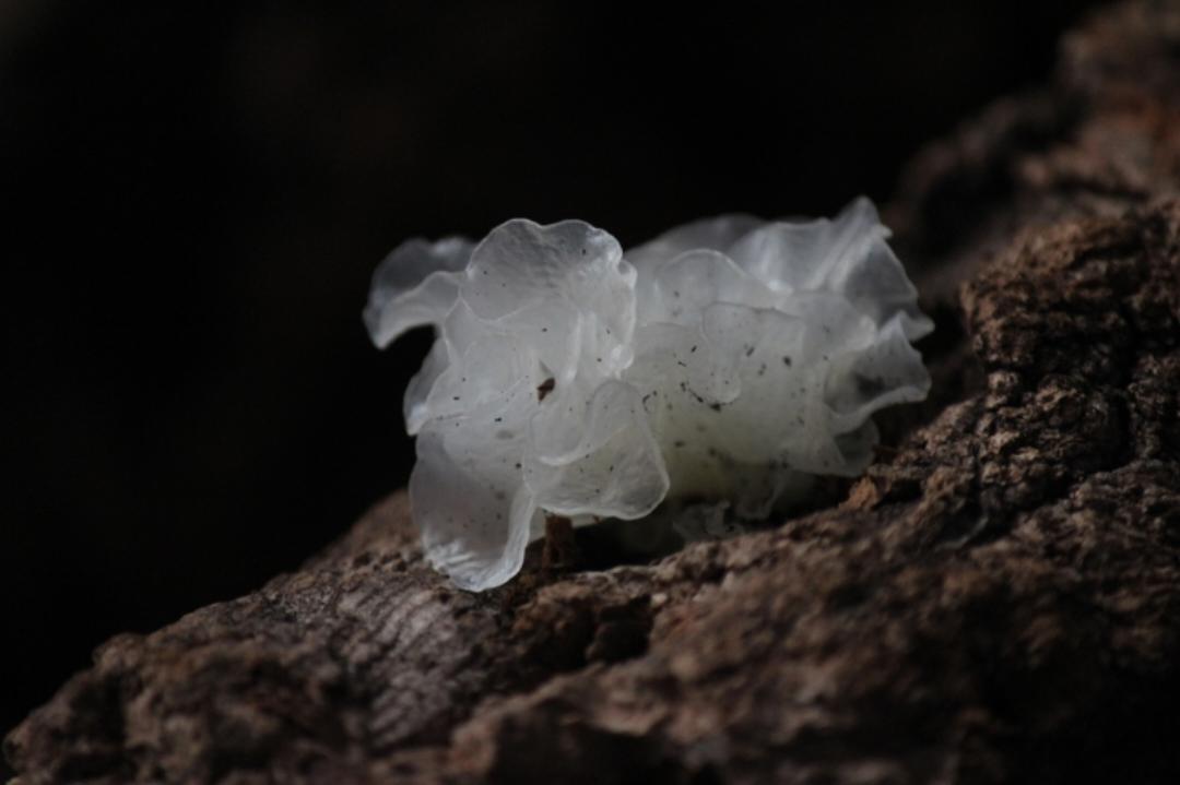 原乡味觉好好吃饭