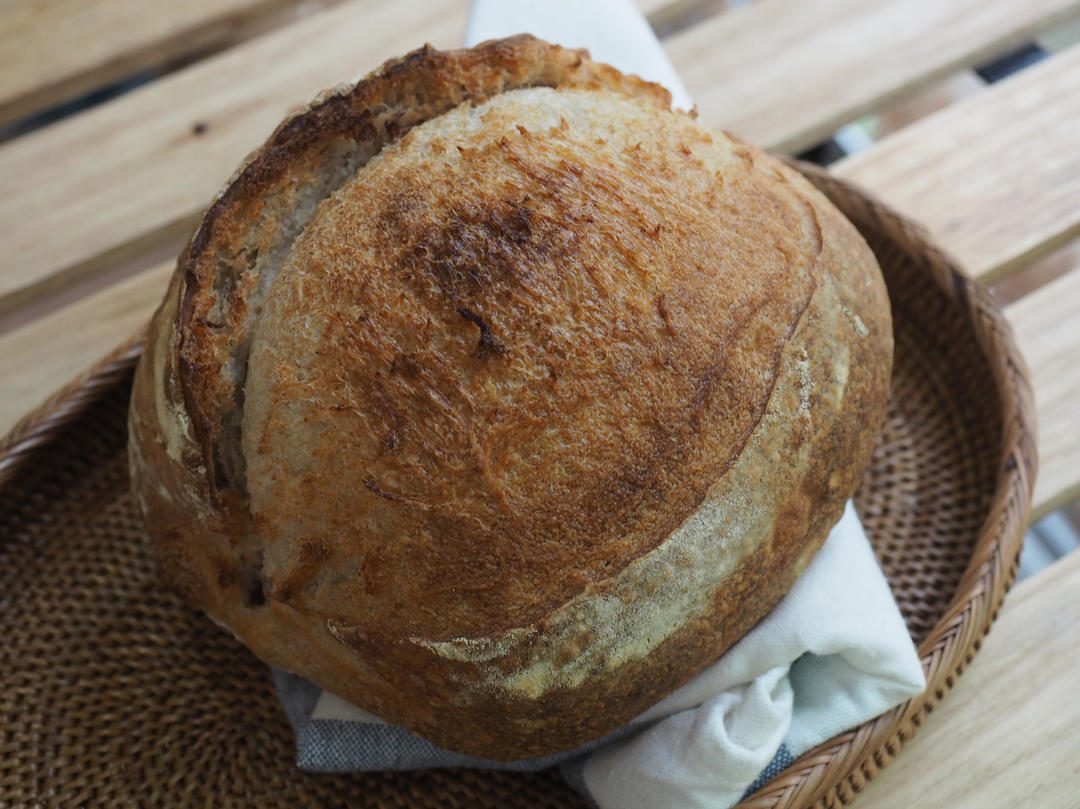 终极免揉鲁邦种懒人欧包（上班族和新手必看）