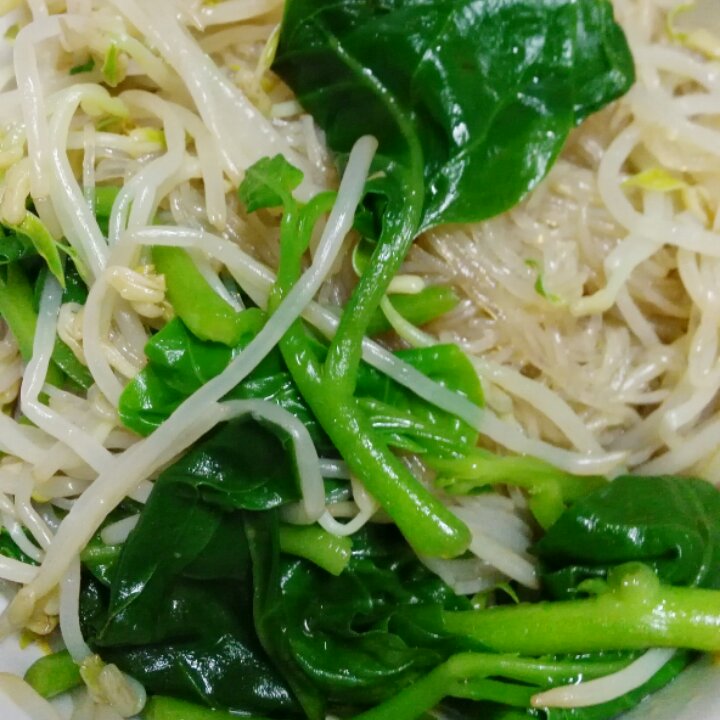 小橘灯_pclg做的豆芽菠菜拌粉丝