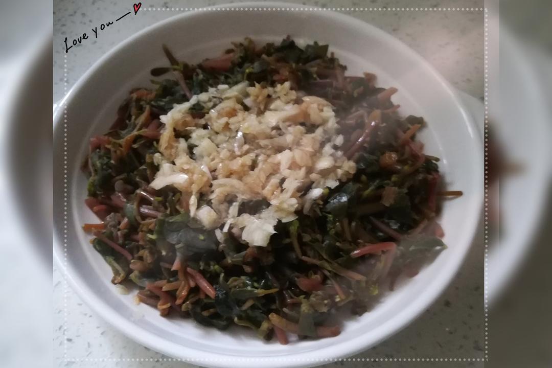 凉拌马齿苋