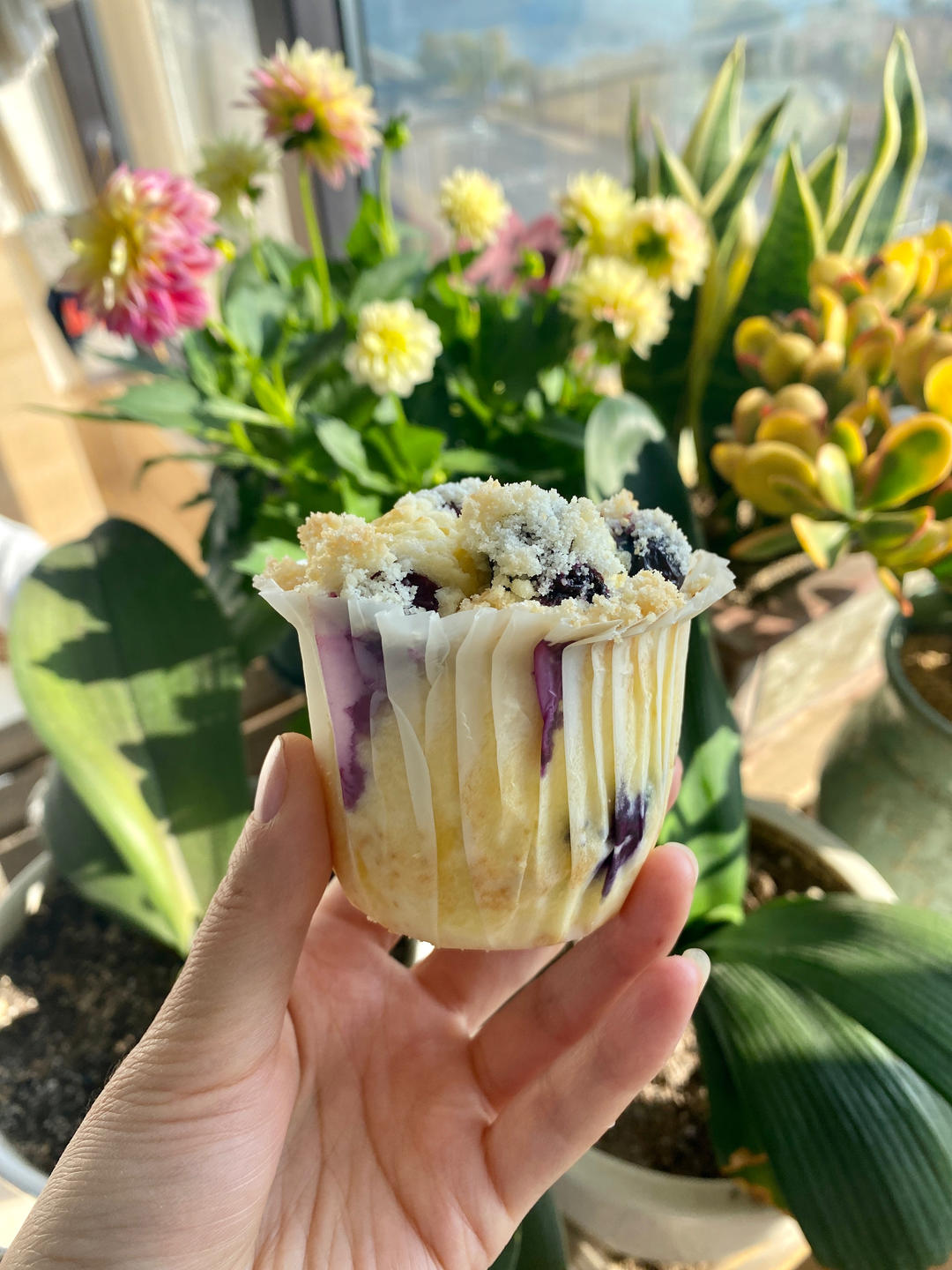 比星爸还好吃的蓝莓麦芬杯子蛋糕（blueberry muffins）（马芬蛋糕）
