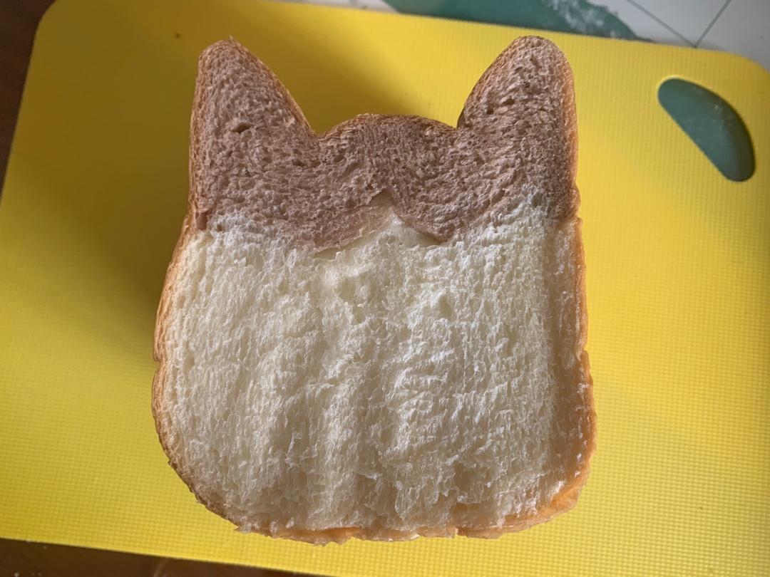 网红大猫猫头面包
