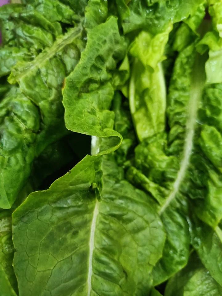 韩式南瓜粥【1月北鼎养生壶食谱】