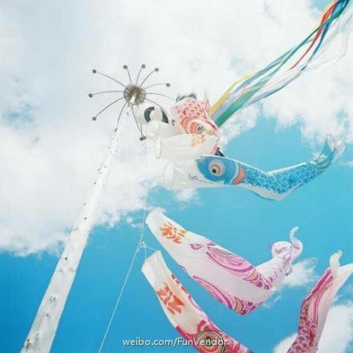 热爱厨房周小姐