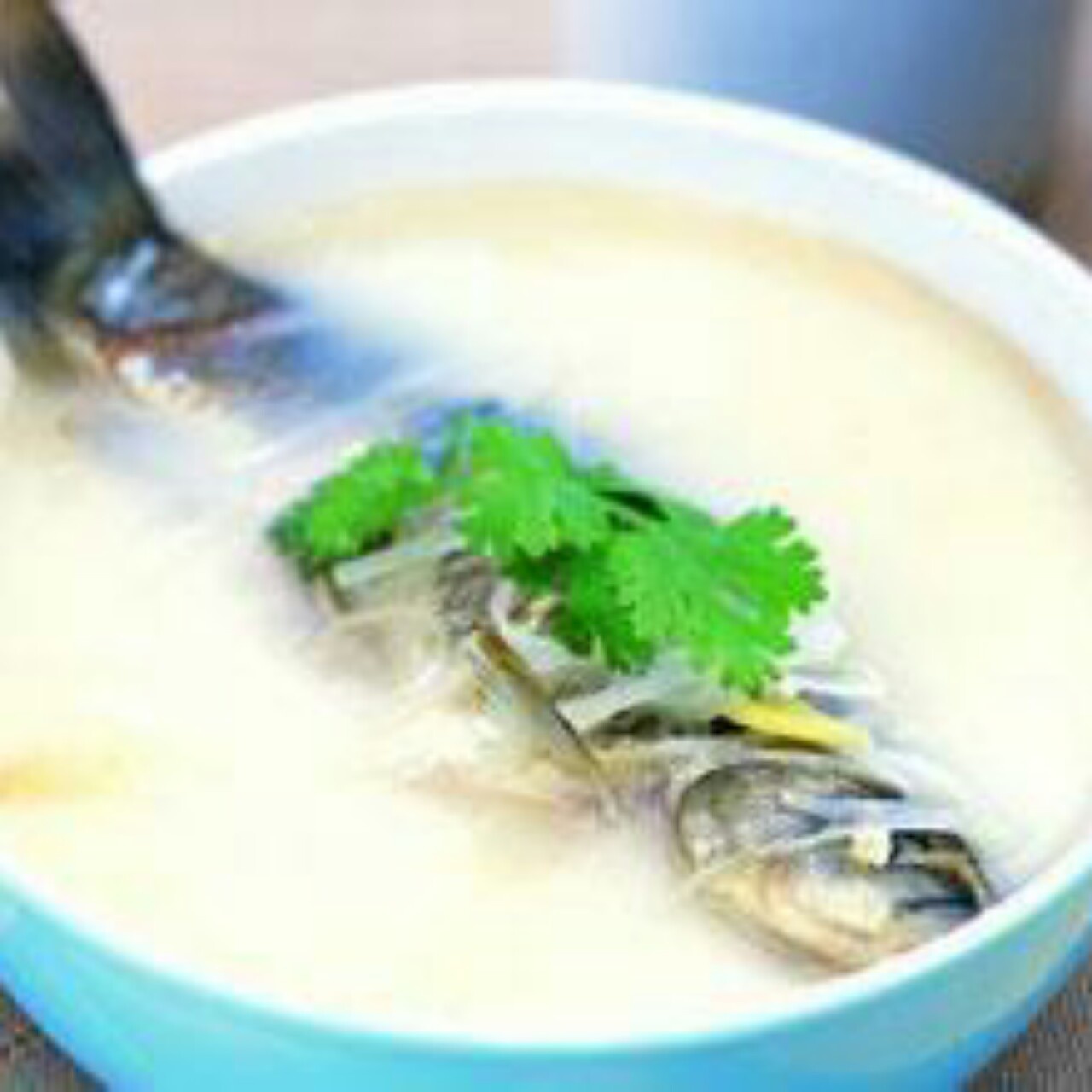 奶白鲫鱼汤