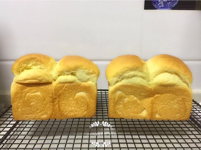 小米鸡蛋酸奶吐司