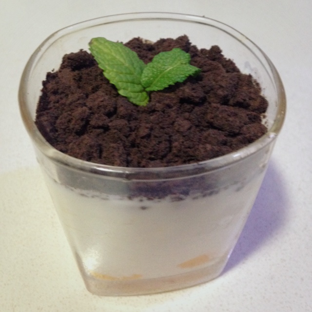 百利甜芒果酸奶盆栽