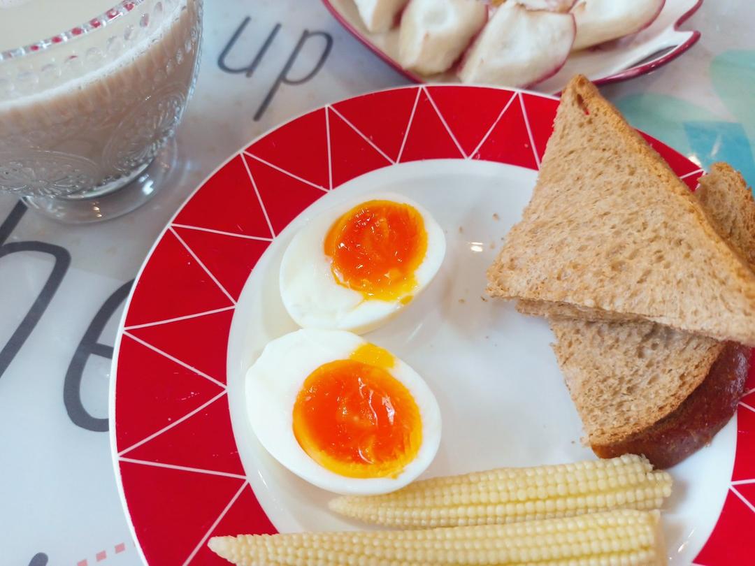 一步到位！日式流心蛋溏心蛋半熟蛋