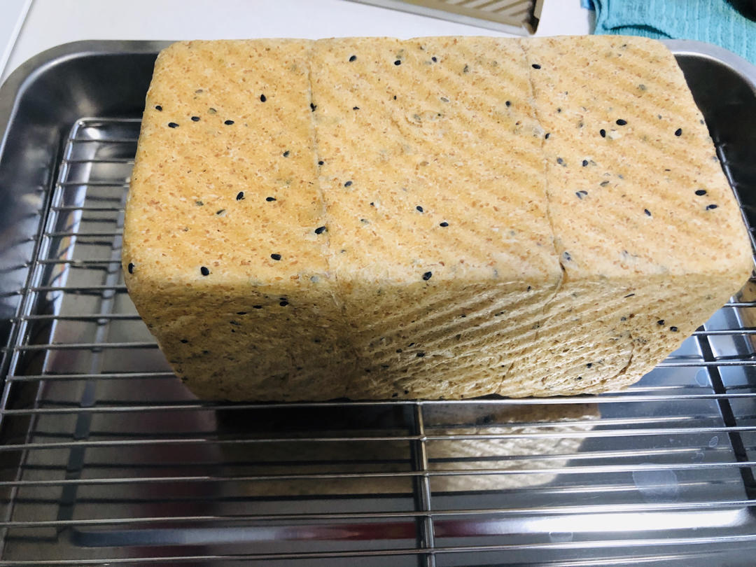 波兰种全麦面包🍞