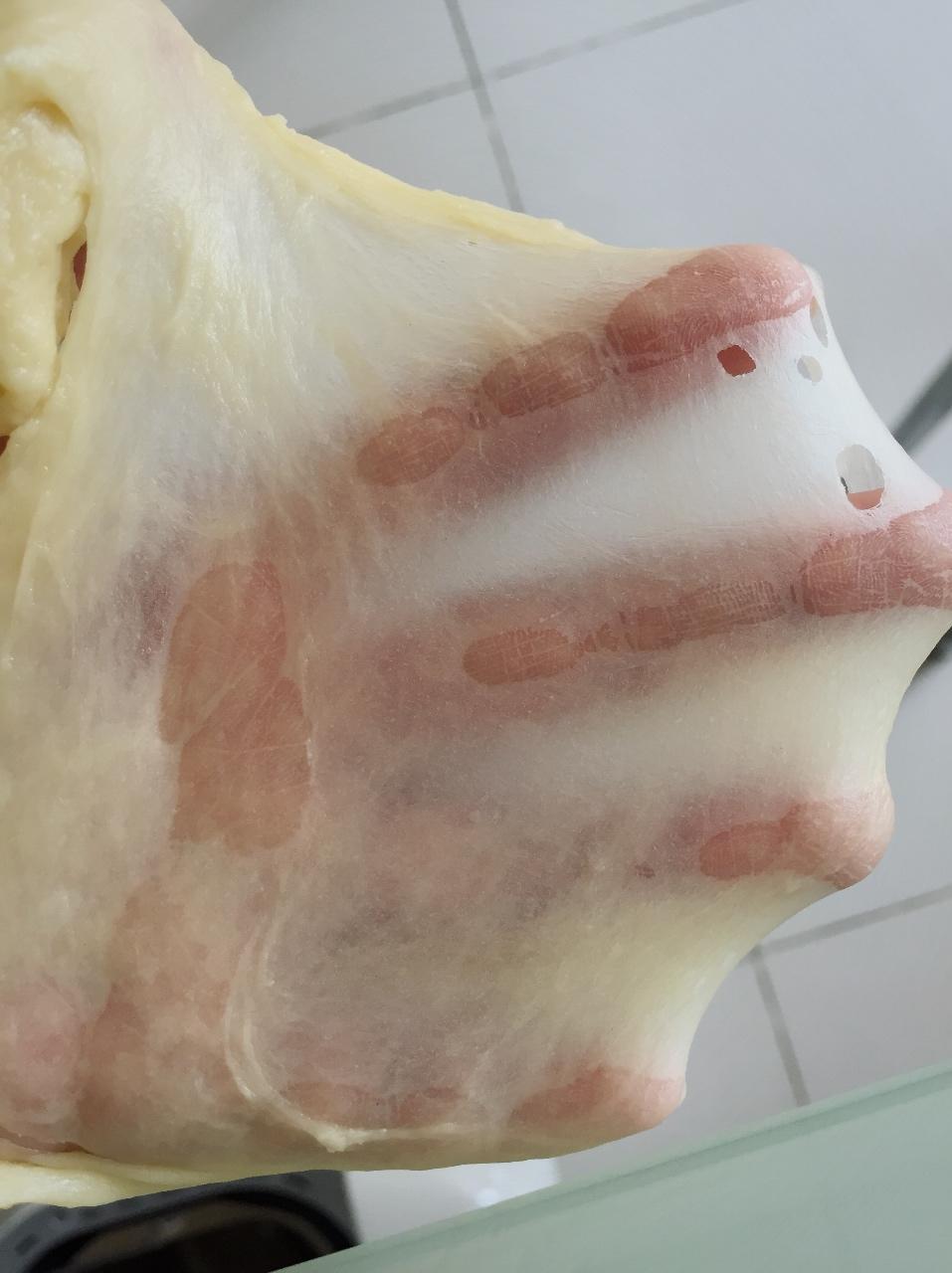 面包机都能揉出手套膜（不用剪刀，面包机出膜最详细指导）